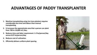 ADVANTAGES OF PADDY TRANSPLANTER
1. Machine transplanting using rice trans planters requires
considerably less time and labour than manual
transplanting.
2. It increases the approximate area that a person can plant
from 700 to 10,000 m2 /day .
3. Reduces time and labor requirement: 1-2 ha/person/day
versus 0.07 ha/person/day.
4. Reduces cost of cultivation.
5. Efficiently delivers uniform plant spacing.
 