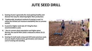 JUTE SEED DRILL
1. Sowing of jute is generally the most getting healthy and
disease-free way for obtaining higher fibre production.
2. Traditionally, broadcast method of sowing is used to
utilize the limited soil moisture availability due to summer
rainfall
3. In practice higher seed rate of 7-8 kg/ha than
recommended is used.
4. . Due to uneven plant population and higher plant
density, the overall fibre yield is reduced to about 10-15
per cent.
5. Sowing of small seeds using seed drill saves precious seed,
ensures depth of placement, germination and reduced
cost of sowing and weeding.
 
