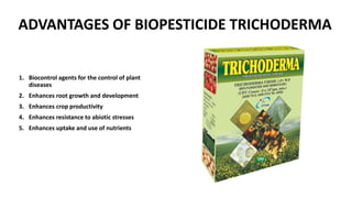 ADVANTAGES OF BIOPESTICIDE TRICHODERMA
1. Biocontrol agents for the control of plant
diseases
2. Enhances root growth and development
3. Enhances crop productivity
4. Enhances resistance to abiotic stresses
5. Enhances uptake and use of nutrients
 