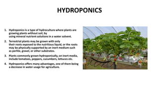 HYDROPONICS
1. Hydroponics is a type of hydroculture where plants are
growing plants without soil, by
using mineral nutrient solutions in a water solvent.
2. Terrestrial plants may be grown with only
their roots exposed to the nutritious liquid, or the roots
may be physically supported by an inert medium such
as perlite, gravel, or other substrates.
3. Plants commonly grown hydroponically, on inert media,
include tomatoes, peppers, cucumbers, lettuces etc.
4. Hydroponics offers many advantages, one of them being
a decrease in water usage for agriculture.
 