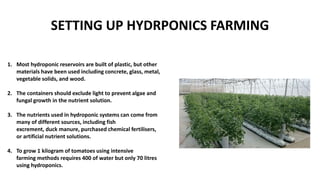 SETTING UP HYDRPONICS FARMING
1. Most hydroponic reservoirs are built of plastic, but other
materials have been used including concrete, glass, metal,
vegetable solids, and wood.
2. The containers should exclude light to prevent algae and
fungal growth in the nutrient solution.
3. The nutrients used in hydroponic systems can come from
many of different sources, including fish
excrement, duck manure, purchased chemical fertilisers,
or artificial nutrient solutions.
4. To grow 1 kilogram of tomatoes using intensive
farming methods requires 400 of water but only 70 litres
using hydroponics.
 