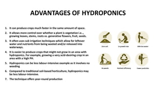 ADVANTAGES OF HYDROPONICS
1. It can produce crops much faster in the same amount of space.
2. It allows more control over whether a plant is vegetative i.e..,
growing leaves, stems, roots vs. generative flowers, fruit, seeds.
3. It often uses sub irrigation techniques which allow for leftover
water and nutrients from being wasted and/or released into
waterways.
4. It is easier to produce crops that might not grow in an area with
hydroponics. For example, growing a very acid-desiring crop in an
area with a high PH.
5. Hydroponics can be less labour-intensive example as it involves no
weeding
6. Compared to traditional soil-based horticulture, hydroponics may
be less labour-intensive.
7. The technique offers year-round production
 