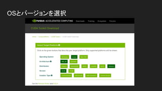 CUDA Toolkit > Parallel Computing Platform
 