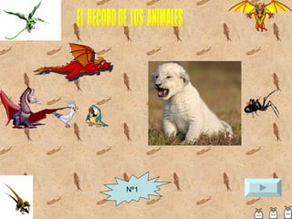 EL  RECORD DE  LOS  ANIMALES Nº1 