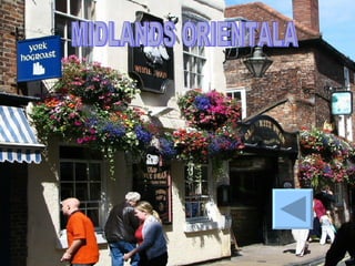 MIDLANDS ORIENTALA 