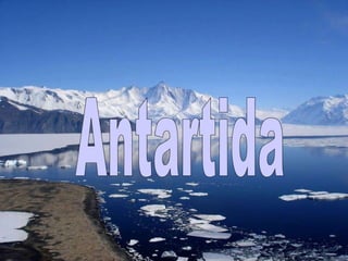 Antartida 