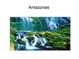 Amazonas  