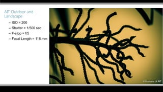 AIT Outdoor and
Landscape
– ISO = 200
– Shutter = 1/500 sec
– F-stop = f/5
– Focal Length = 116 mm
 