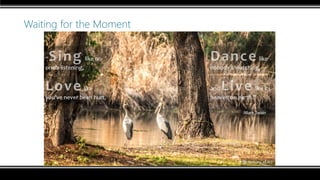 Waiting for the Moment
 