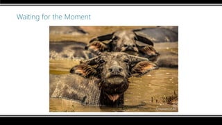 Waiting for the Moment
 