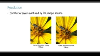 Resolution
▪ Number of pixels captured by the image sensor.
Higher Resolution Image
300 ppi
Lower Resolution Image
72 ppi
 
