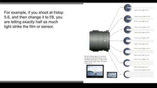 For example, if you shoot at f/stop
5.6, and then change it to f/8, you
are letting exactly half as much
light strike the film or sensor.
 