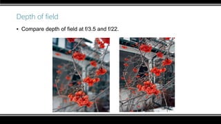 Depth of field
▪ Compare depth of field at f/3.5 and f/22.
 