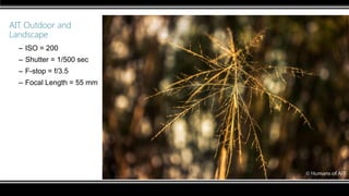 AIT Outdoor and
Landscape
– ISO = 200
– Shutter = 1/500 sec
– F-stop = f/3.5
– Focal Length = 55 mm
 