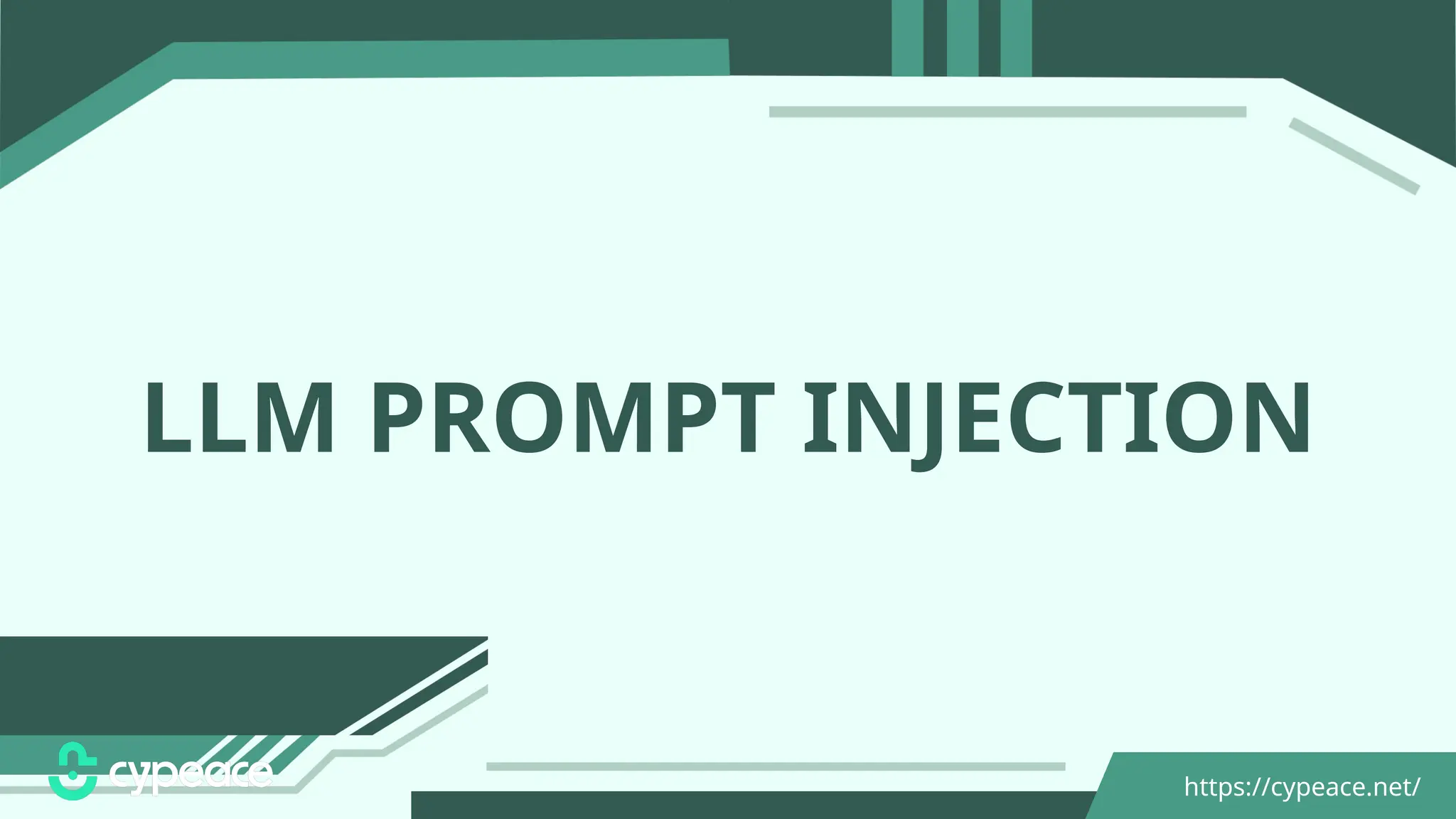 https://cypeace.net/
LLM PROMPT INJECTION
 