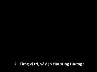 2 . Từng vị trí, vẻ đẹp của sông Hương : 