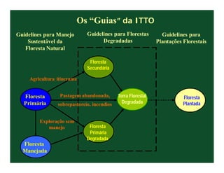 Os “Guias” da ITTO
Guidelines para Manejo         Guidelines para Florestas          Guidelines para
    Sustentável da                   Degradadas                 Plantações Florestais
   Floresta Natural

                                Floresta
                               Secundária

     Agricultura itinerante


  Floresta         Pastagem abandonada,       Terra Florestal              Floresta
  Primária        sobrepastoreio, incendios     Degradada                  Plantada


         Exploração sem
            manejo              Floresta
                                Primária
                               Degradada
  Floresta
  Manejada
 