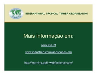 INTERNATIONAL TROPICAL TIMBER ORGANIZATION




Mais informação em:
             www.itto.int

www.ideastransformlandscapes.org


http://learning.gpflr.webfactional.com/
 