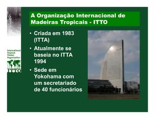 A Organização Internacional de
Madeiras Tropicais - ITTO

• Criada em 1983
  (ITTA)
• Atualmente se
  baseia no ITTA
  1994
• Sede em
  Yokohama com
  um secretariado
  de 40 funcionários
 