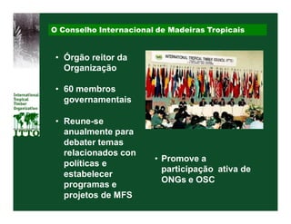 O Conselho Internacional de Madeiras Tropicais


 • Órgão reitor da
   Organização

 • 60 membros
   governamentais

 • Reune-se
   anualmente para
   debater temas
   relacionados con
                        • Promove a
   políticas e
                          participação ativa de
   estabelecer
                          ONGs e OSC
   programas e
   projetos de MFS
 