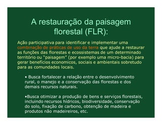 A restauração da paisagem
            florestal (FLR):
Ação participativa para identificar e implementar uma
combinação de práticas de uso da terra que ajude a restaurar
as funções das florestas e ecossistemas de um determinado
território ou “paisagem” (por exemplo uma micro-bacia) para
gerar benefícios economicos, sociais e ambientais sobretudo
para as comundades locais.

   • Busca fortalecer a relação entre o desenvolvimento
   rural, o manejo e a conservação das florestas e dos
   demais recursos naturais.

   •Busca otimizar a produção de bens e serviços florestais,
   incluindo recursos hídricos, biodiversidade, conservação
   do solo, fixação de carbono, obtenção de madeira e
   produtos não madeireiros, etc.
 