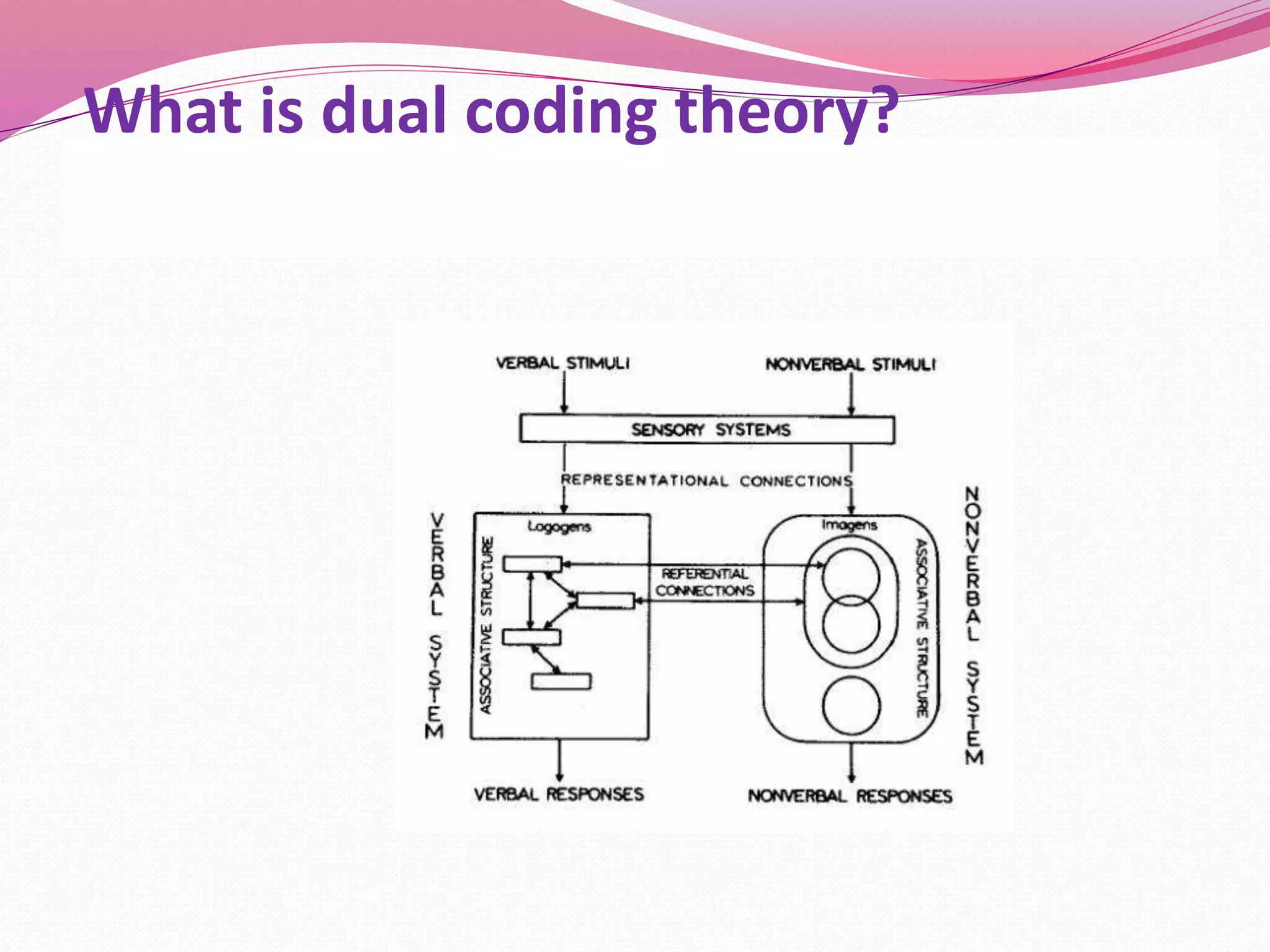 What is dual coding theory?
 