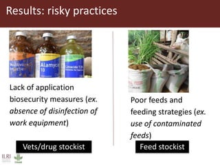 Value chain actors’ practices associated with the spread of African swine fever disease in smallholder pig systems in Uganda