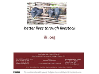 Value chain actors’ practices associated with the spread of African swine fever disease in smallholder pig systems in Uganda