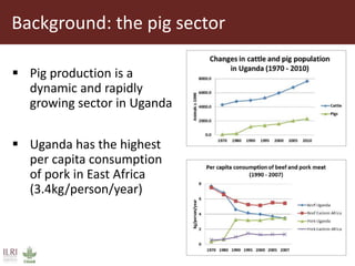 Value chain actors’ practices associated with the spread of African swine fever disease in smallholder pig systems in Uganda