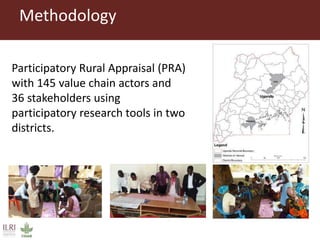 Value chain actors’ practices associated with the spread of African swine fever disease in smallholder pig systems in Uganda