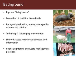 Taenia solium cysticercosis: Risk factors, perceptions and practices in smallholder pig production systems in Uganda