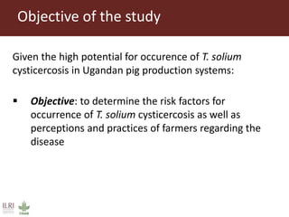 Taenia solium cysticercosis: Risk factors, perceptions and practices in smallholder pig production systems in Uganda