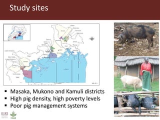 Taenia solium cysticercosis: Risk factors, perceptions and practices in smallholder pig production systems in Uganda