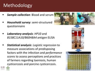 Taenia solium cysticercosis: Risk factors, perceptions and practices in smallholder pig production systems in Uganda