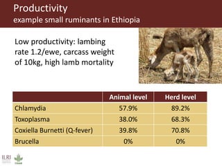 Healthy animals for healthy food