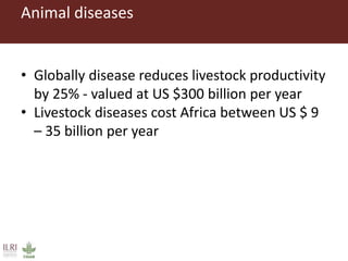 Healthy animals for healthy food