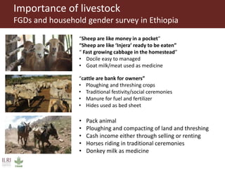 Healthy animals for healthy food