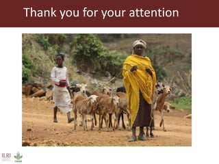 Healthy animals for healthy food