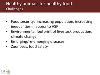 Healthy animals for healthy food