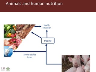 Healthy animals for healthy food