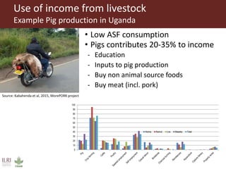 Healthy animals for healthy food