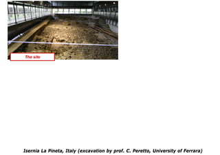 The site




Isernia La Pineta, Italy (excavation by prof. C. Peretto, University of Ferrara)
 
