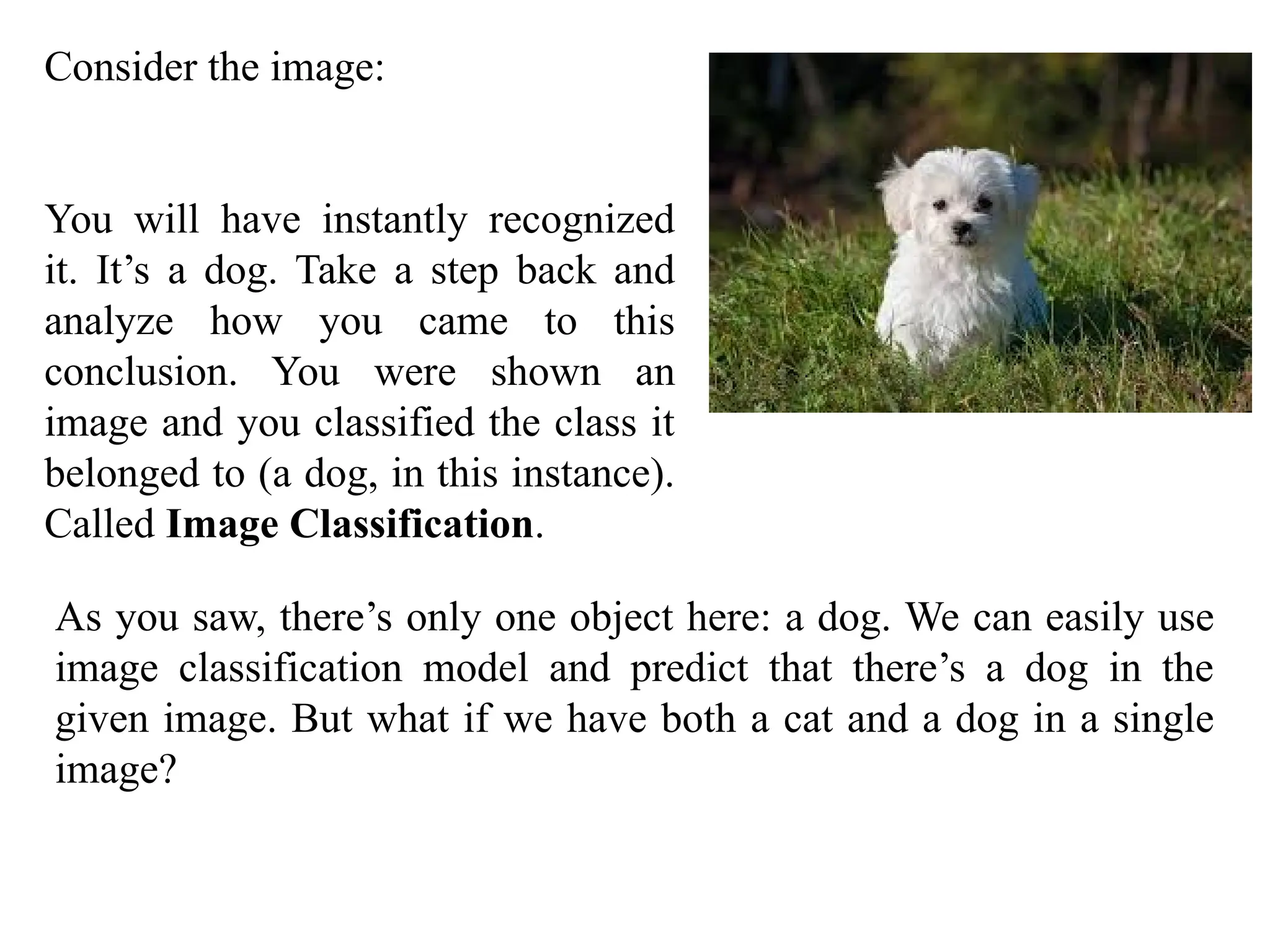 Consider the image:
You will have instantly recognized
it. It’s a dog. Take a step back and
analyze how you came to this
conclusion. You were shown an
image and you classified the class it
belonged to (a dog, in this instance).
Called Image Classification.
As you saw, there’s only one object here: a dog. We can easily use
image classification model and predict that there’s a dog in the
given image. But what if we have both a cat and a dog in a single
image?
 