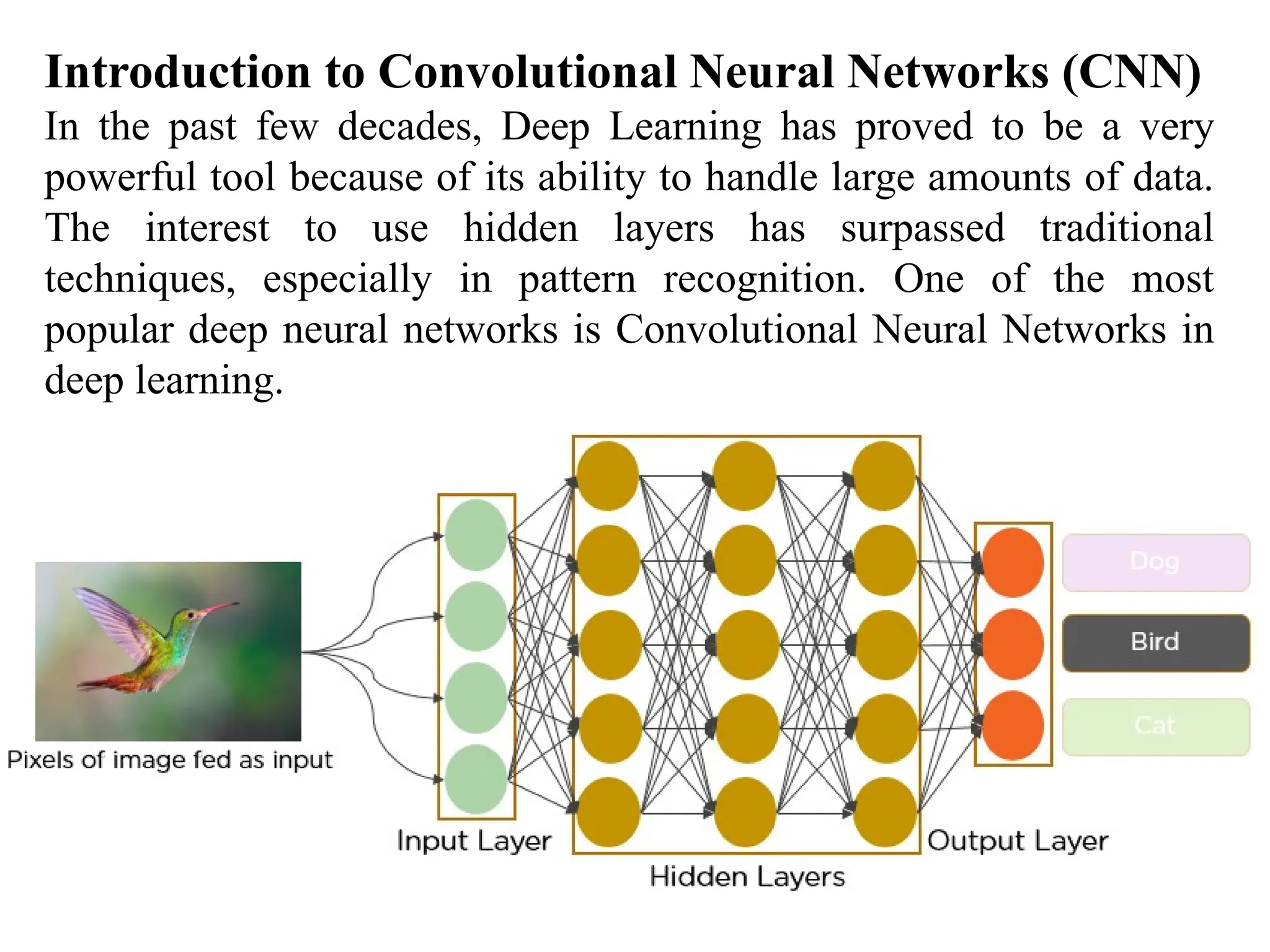 Introduction to Convolutional Neural Networks (CNN)
In the past few decades, Deep Learning has proved to be a very
powerful tool because of its ability to handle large amounts of data.
The interest to use hidden layers has surpassed traditional
techniques, especially in pattern recognition. One of the most
popular deep neural networks is Convolutional Neural Networks in
deep learning.
 