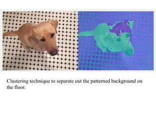 Clustering technique to separate out the patterned background on
the floor.
 