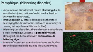 Pemphigus (blistering disorder)
 Autoimmune disorder that causes blistering due to
acantholysis (destruction of cell-to-cell adhesion
between keratinocytes).
 Immunoglobin G attack desmogleins therefore
destroying the desmosomes between keratinocytes
causing intraepidermal blisters (bullae).
 Blistering can also affect the oral mucosa (mouth) and
a type. Pemphigus vulgaris is potentially fatal,
although it can be treated with corticosteroids
 Nikolsky sign.
 Immunofluorescent examination shows antibodies
around epidermal cells in a net-like arrangement.
16
 