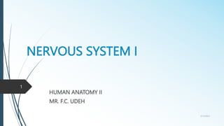 NERVOUS SYSTEM I
HUMAN ANATOMY II
MR. F.C. UDEH
3/15/2023
1
 