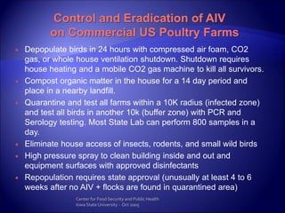 AIV in Poultry and Humans | PDF