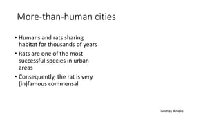 More-than-human cities
• Humans and rats sharing
habitat for thousands of years
• Rats are one of the most
successful species in urban
areas
• Consequently, the rat is very
(in)famous commensal
Tuomas Aivelo
 