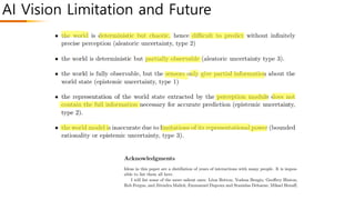 AI Vision Limitation and Future
 